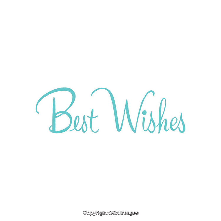 Elegant Script Design Featuring 'Best Wishes' in Bright Turquoise Font