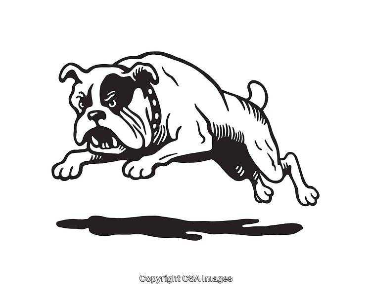 Black and White Illustration of a Jumping Bulldog