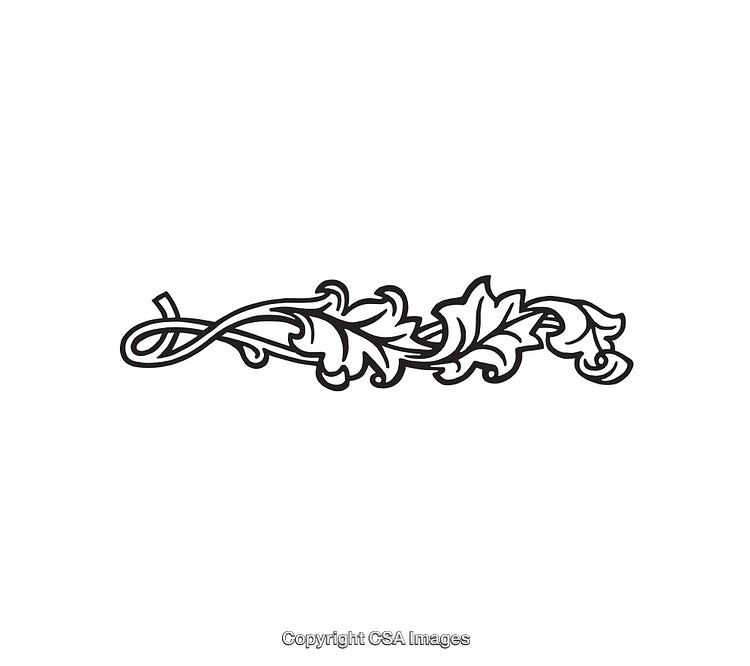 Elegant Black And White Floral Decorative Line Art Design Element