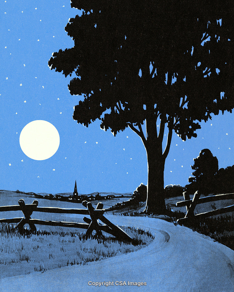 Scenic Moonlit Countryside Road with Starry Sky and Wooden Fences