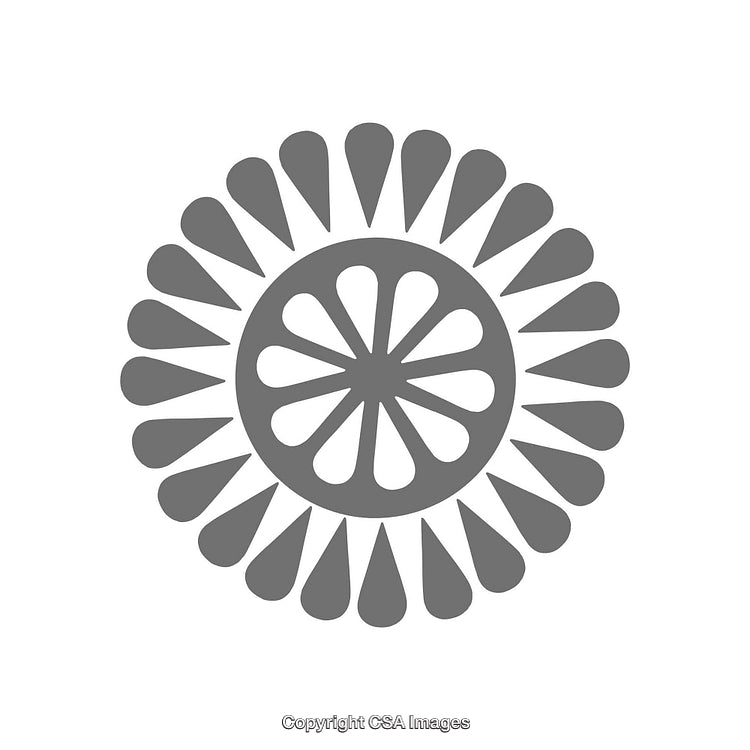 Circular Illustration Featuring Symmetrical Geometric Shapes in Black and White