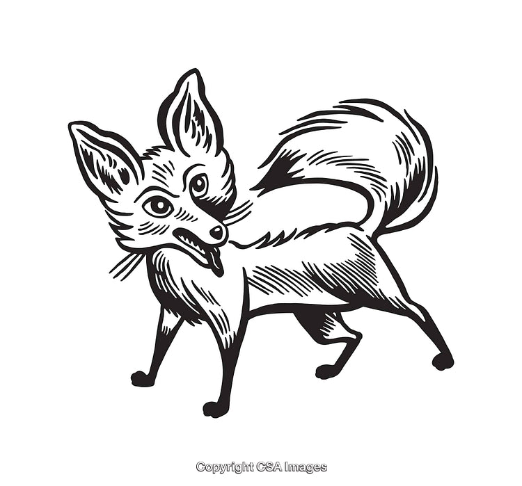 Black and White Line Art Fox Illustration With Intricate Details