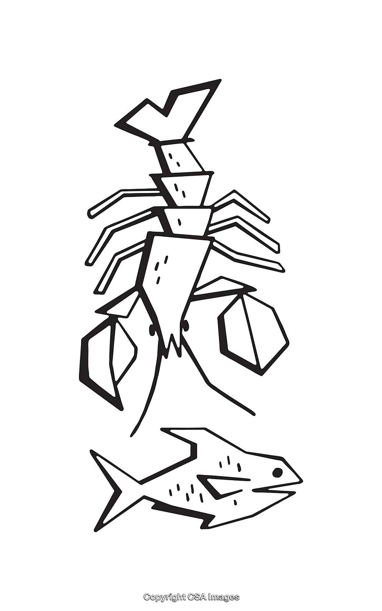 Black And White Line Art Illustrations of Marine Creatures