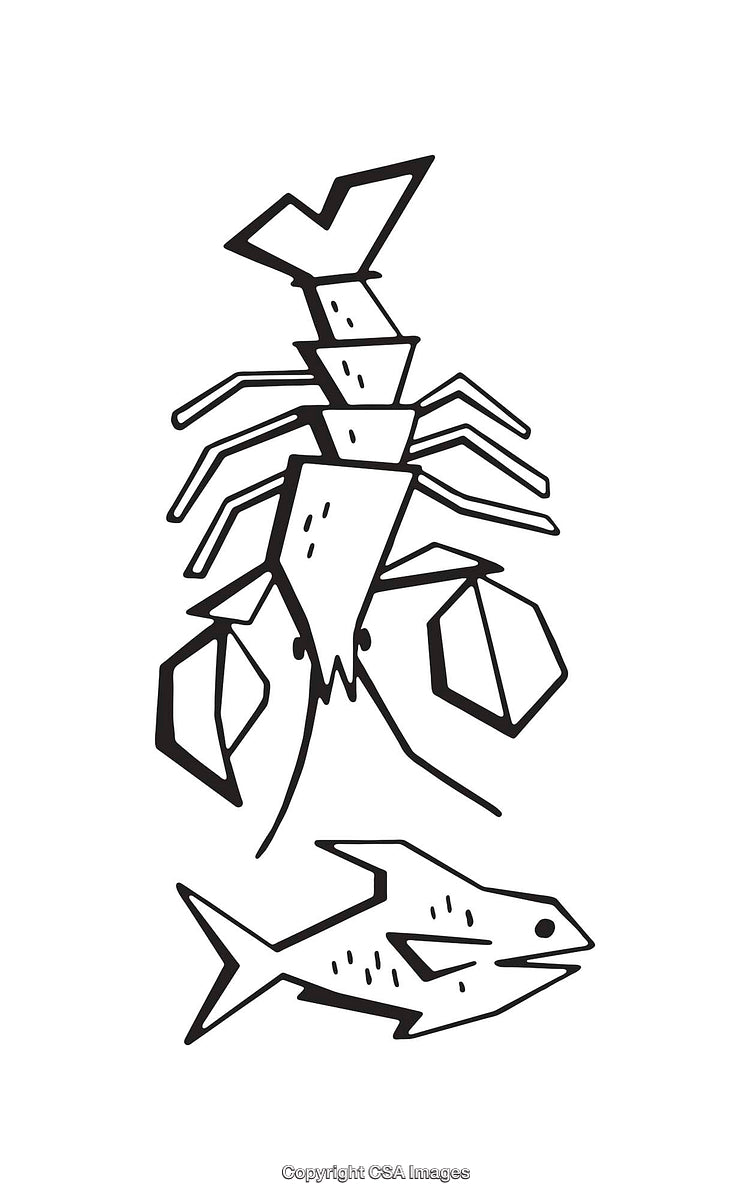 Black And White Line Art Illustrations of Marine Creatures