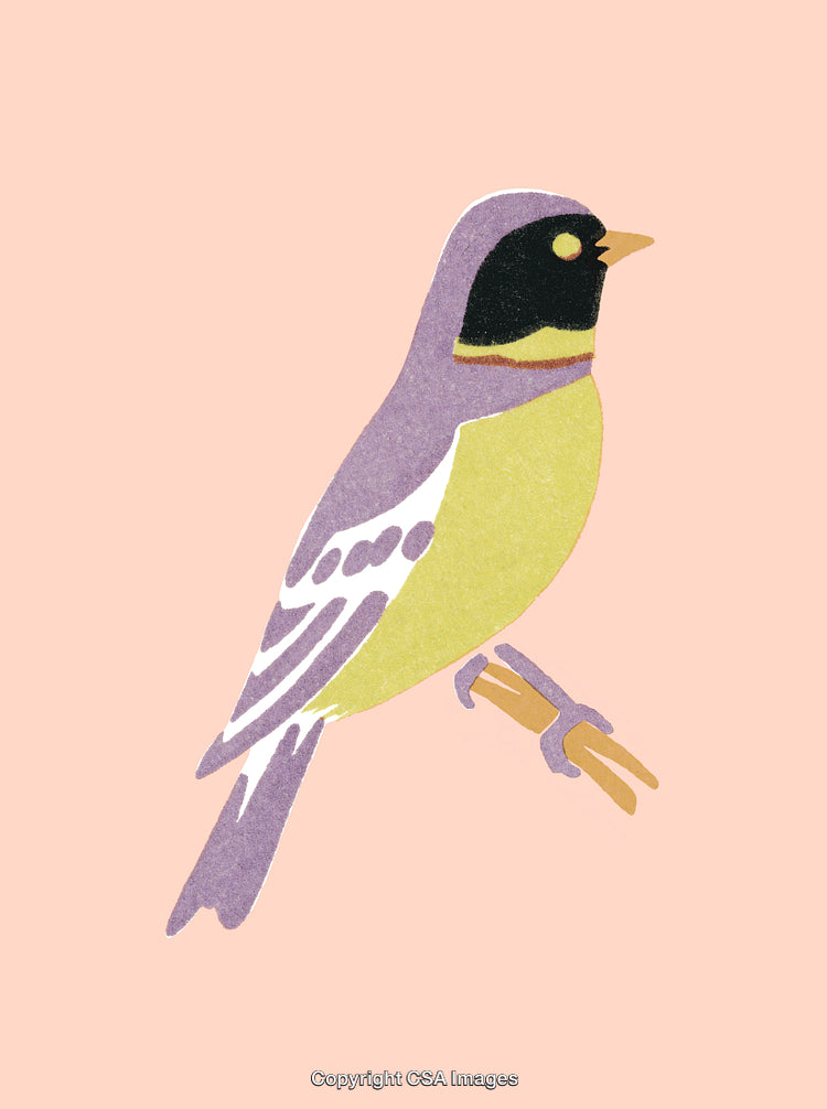 Colorful Bird Illustration on Pale Pink Background in Minimalist Art Style