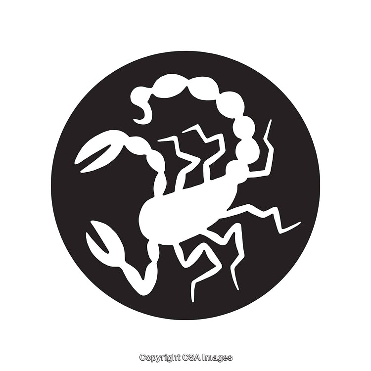 Black And White Scorpion Icon Symbolizing Zodiac Scorpio