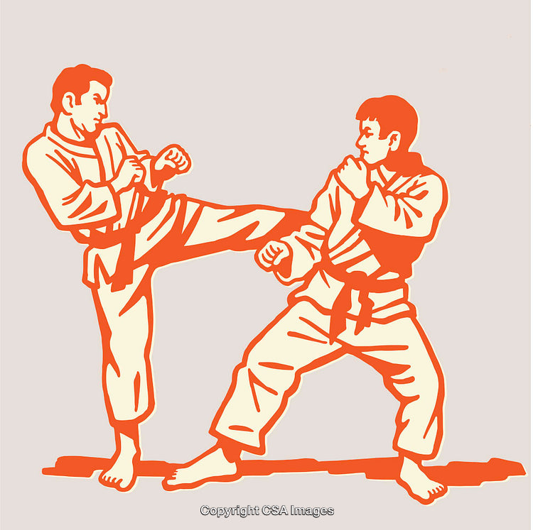 Martial Arts Action Scene with Two Practitioners in Motion