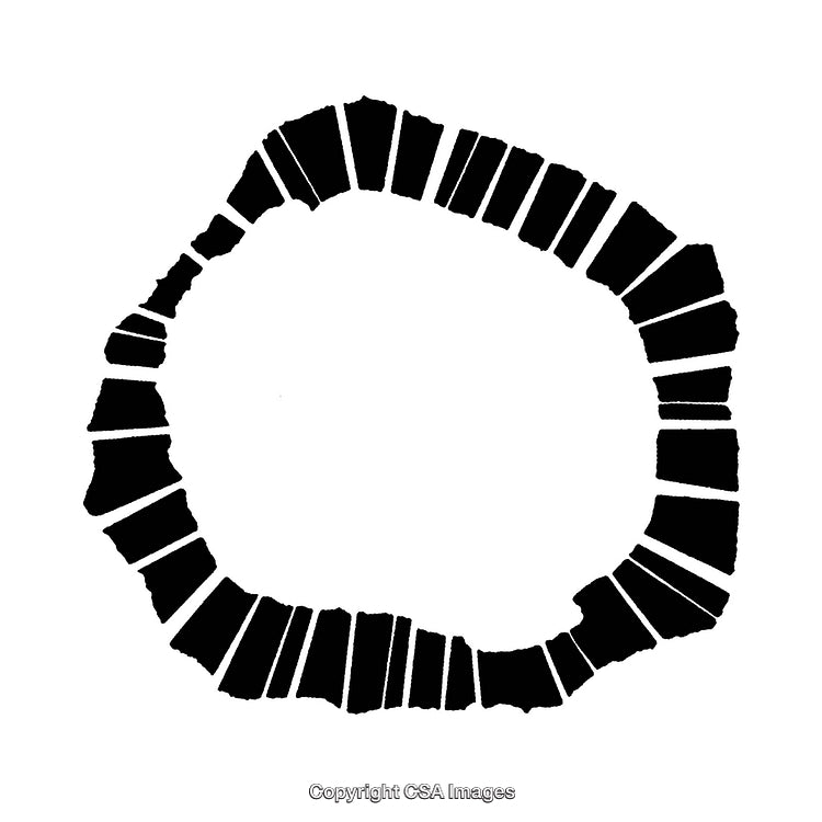 Abstract Monochrome Circular Form With Bold Geometric Strokes