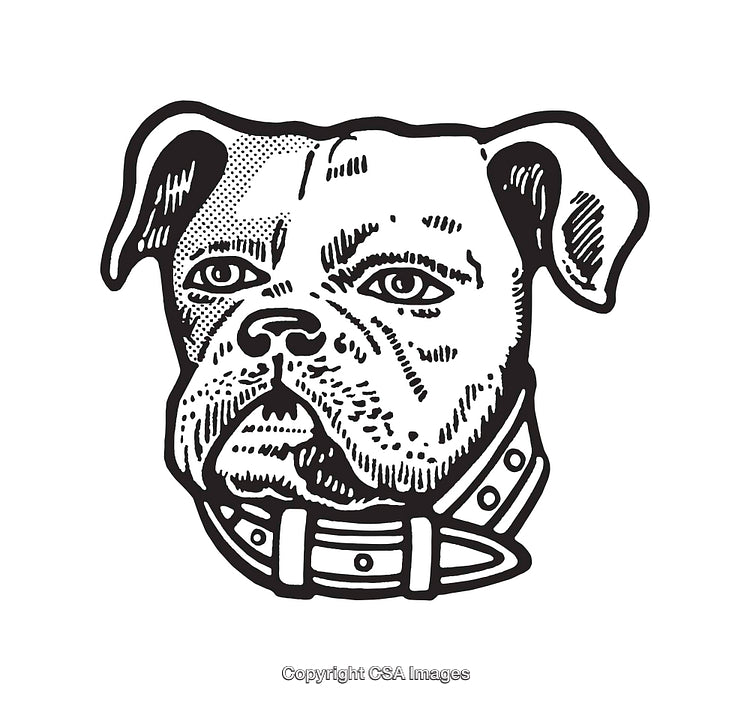 Detailed Black and White Line Art of a Bulldog Head Illustration