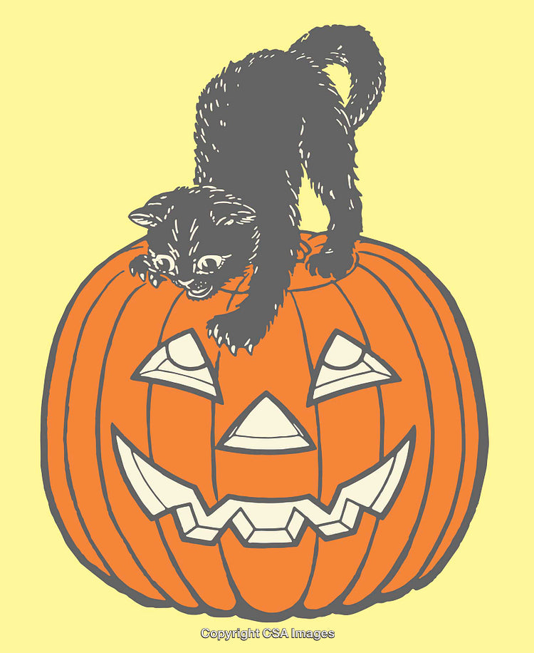 Black Cat on Jack-O'-Lantern Illustration in Halloween Style