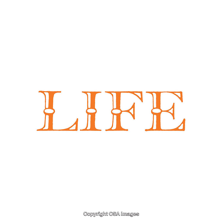 Typography of the Word 'Life' in Vibrant Orange Letters on White Background