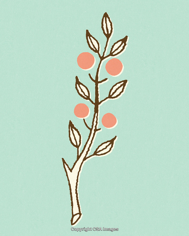 Illustration of a Simplistic Branch with Red Berries on a Light Background