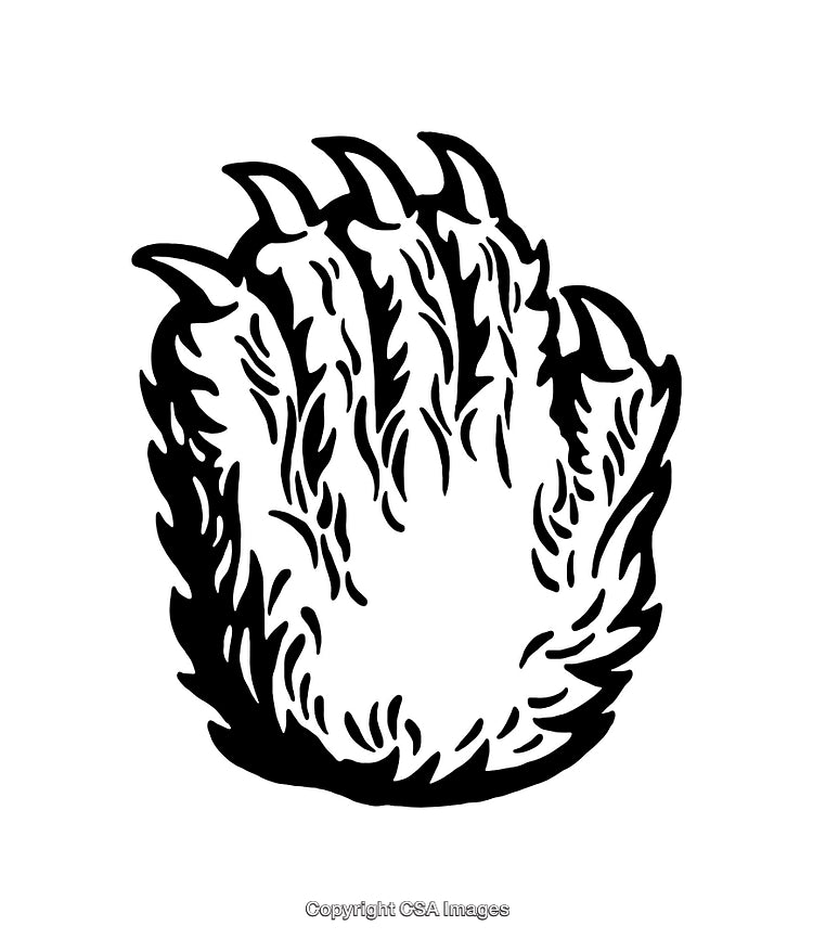 Black and White Illustration of a Wild Animal's Clawed Paw