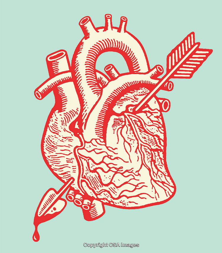 Vintage Illustration of an Anatomical Heart Pierced by an Arrow
