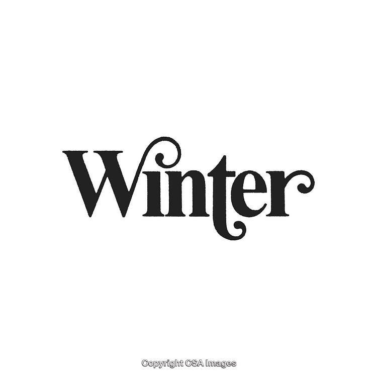 Elegant Winter Typography in Stylish Black and White Design