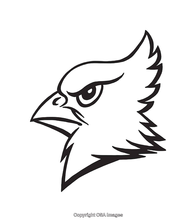 Black and White Line Art Illustration of a Predatory Bird Head