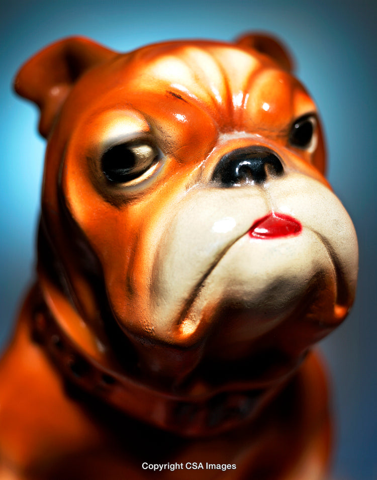 Close-Up of a Detailed Bulldog Plastic Figurine Bust