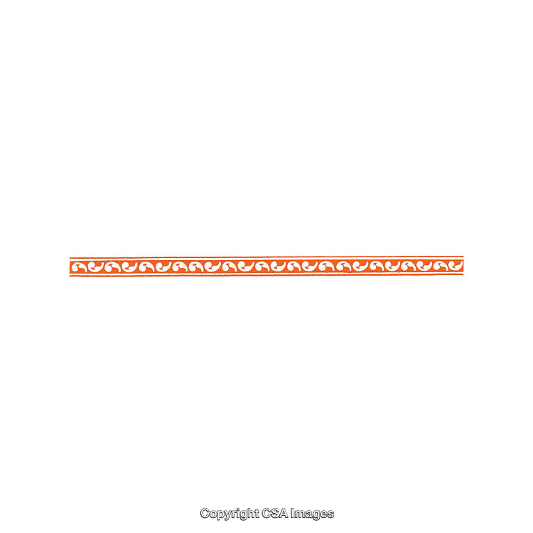 Orange Decorative Border With Curved Motif Pattern on White Background