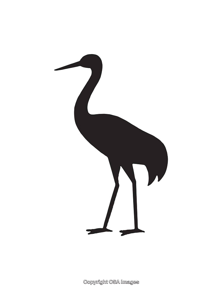 Black Silhouette of a Tall Crane Bird on White Background