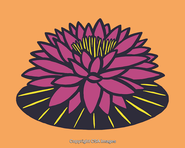 Bold Water Lily Design on Orange Background in Line Art Style