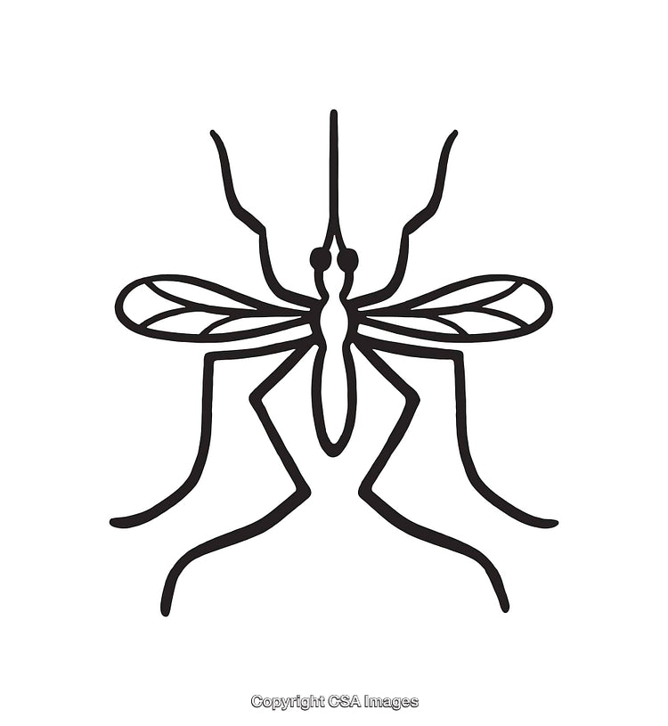 Outline Illustration of a Mosquito in Black and White Line Art Style