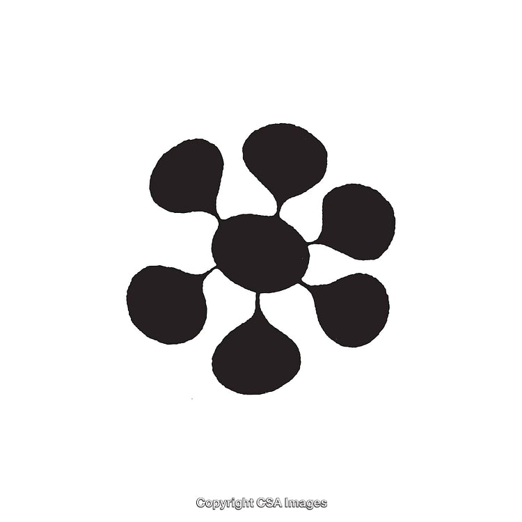 Abstract Black and White Flower Shape Dingbat Illustration
