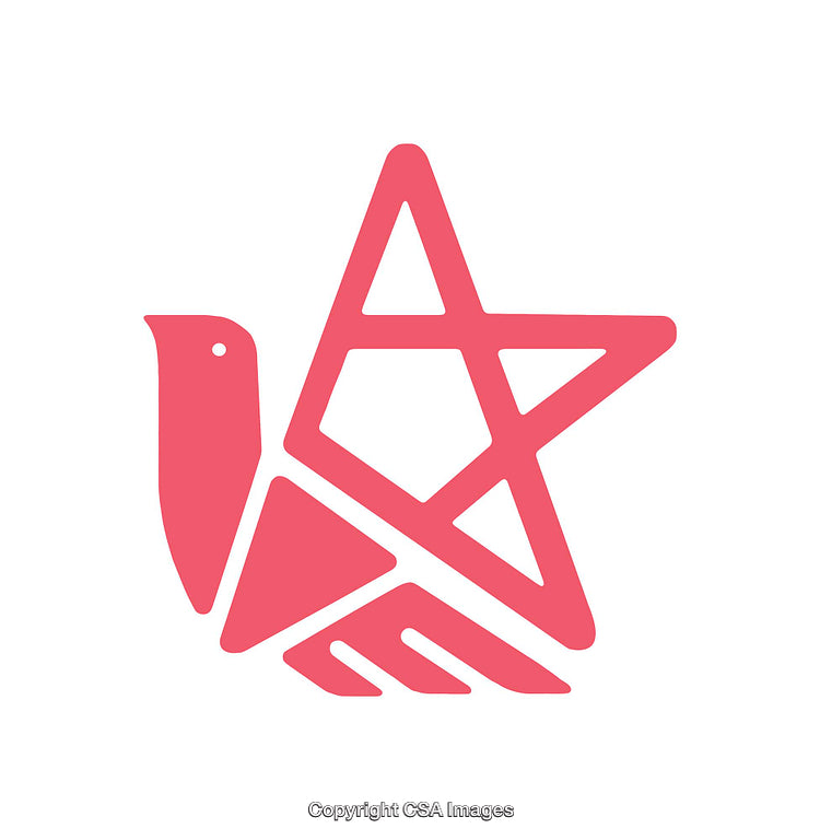 Red Bird and Star Abstract Icon Design