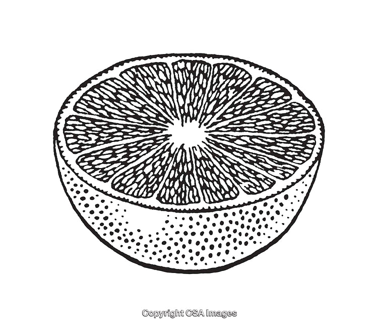 Black and White Line Art Illustration of a Sliced Citrus Fruit