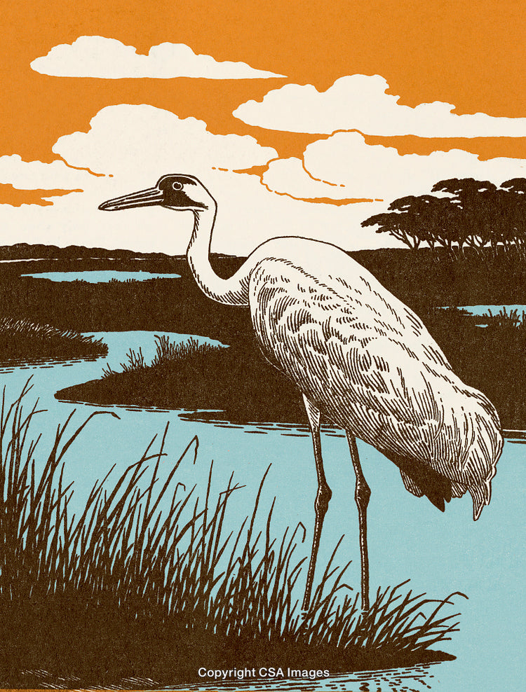 Illustration of a Crane Standing by a Calm River in a Serene Landscape