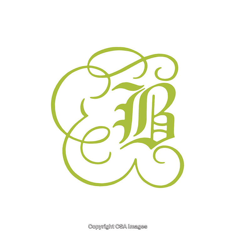 Elegant Monogram Design Featuring Ornate Letter B in Light Green Tone