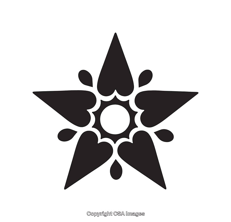 Abstract Black And White Symmetrical Star-Shaped Icon Design