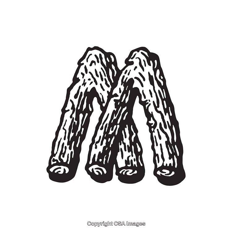 Monochrome Hand-Drawn Stylized Texture Letter M Illustration