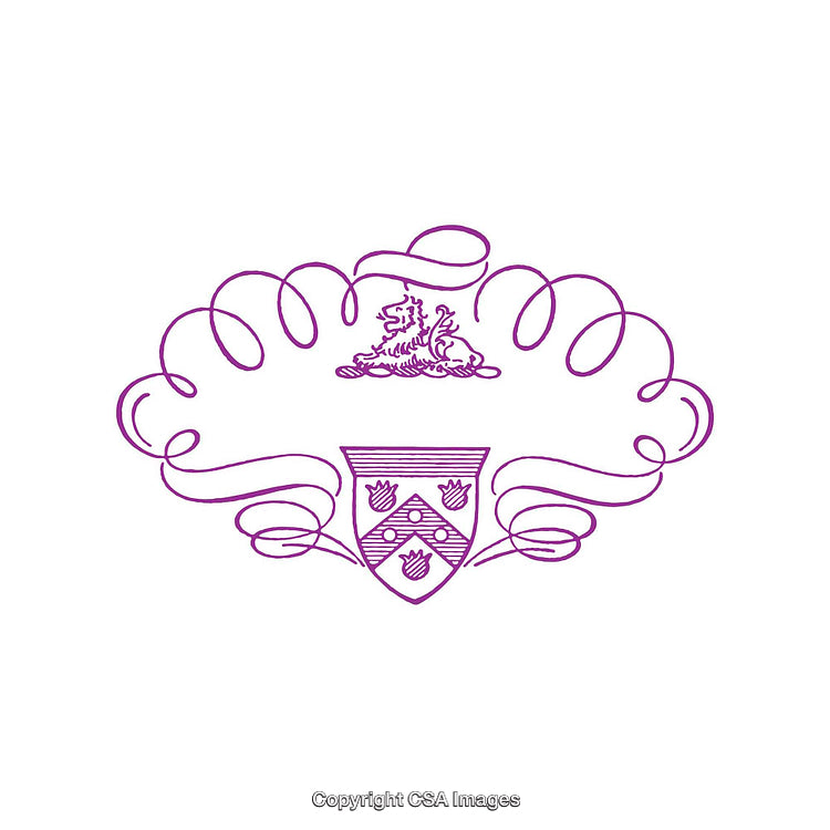 Intricate Heraldic Crest Design with Flourishes and Elegant Decorative Motifs