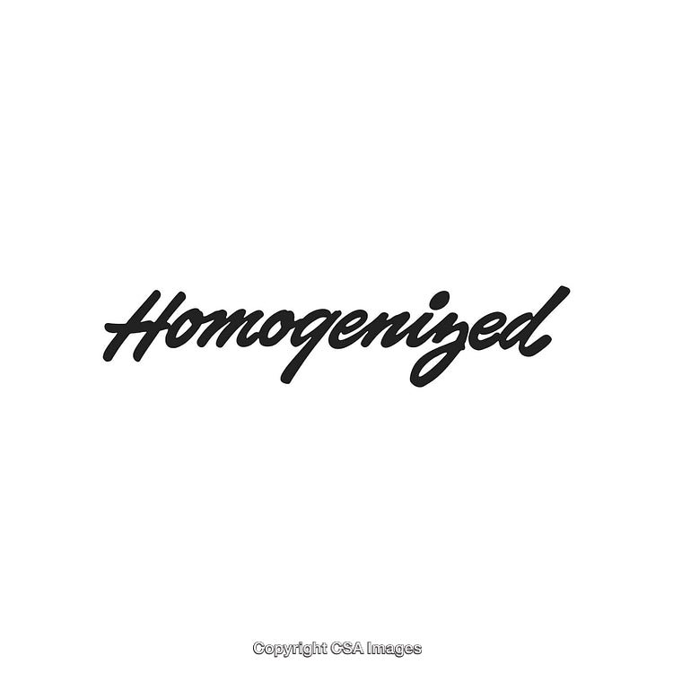 Cursive Black Typography of the Word 'Homogenized' on White Background
