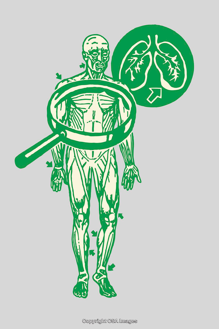 Human Anatomy Illustration Highlighting Respiratory System with Magnified Detail