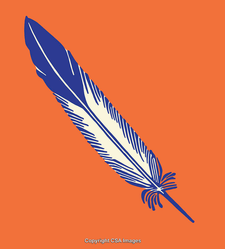 Blue Feather Illustration on a Bright Orange Background