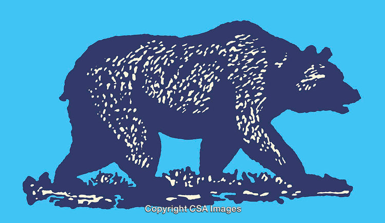 Colorful Bear Illustration Featuring Blue and White Contrasting Shades