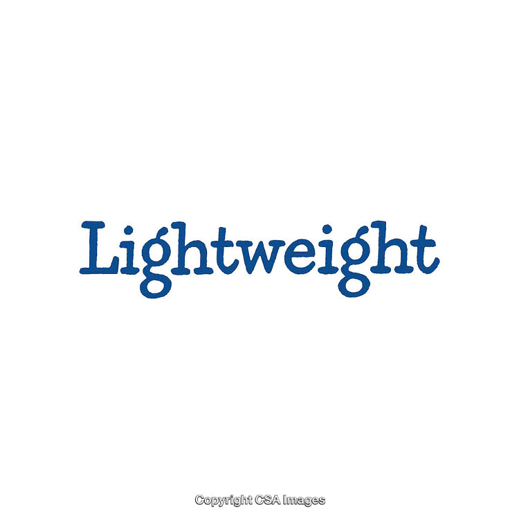 Lightweight Concept Represented by a Blue Word on a White Background