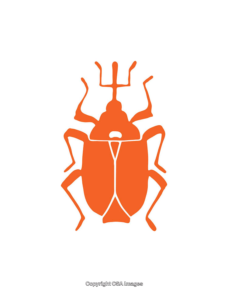 Orange Abstract Beetle Silhouette Illustration on White Background