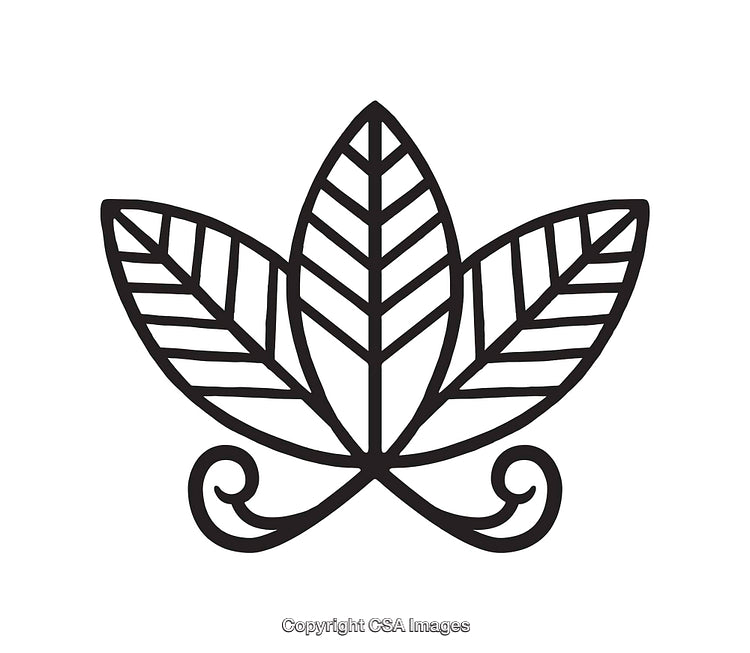Elegant Line Art Illustration of a Stylized Floral Motif