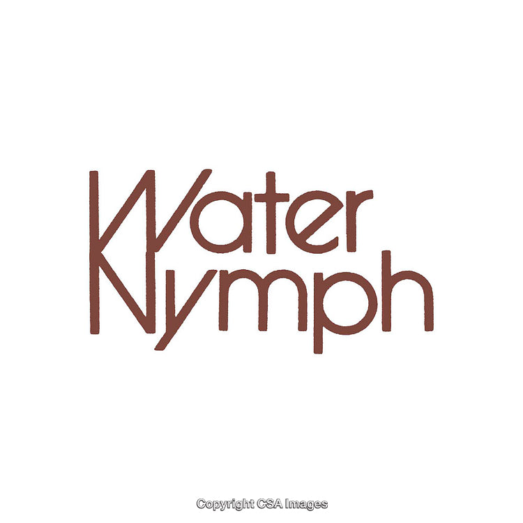 Elegant Text Logo Featuring the Phrase 'Water Nymph' in Brown Tones