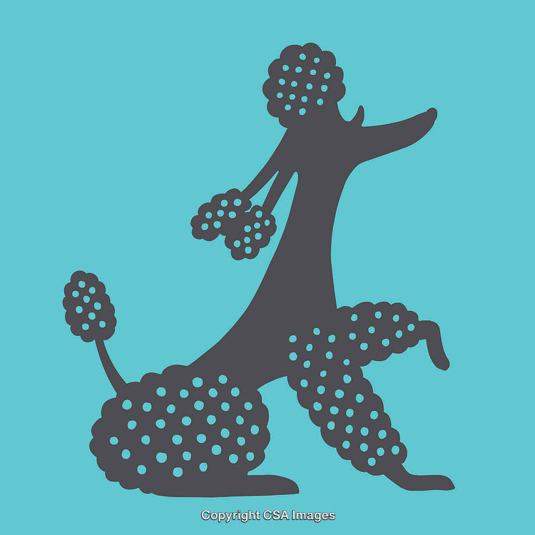 Stylized Illustration of Elegant Poodle Silhouette with Decorative Shapes