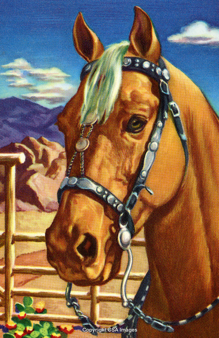 Close-Up Portrait of a Brown Horse in a Countryside Setting