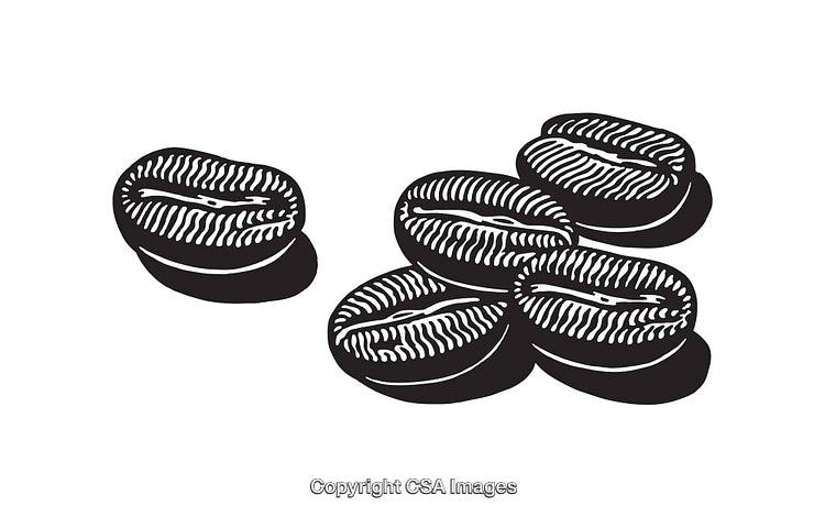 Black and White Line Art Illustrations of Coffee Beans Isolated