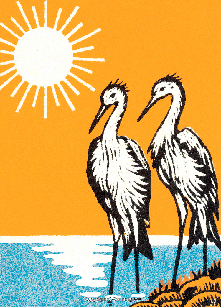 Two Herons Wading by the Seashore Under a Bright Orange Sky