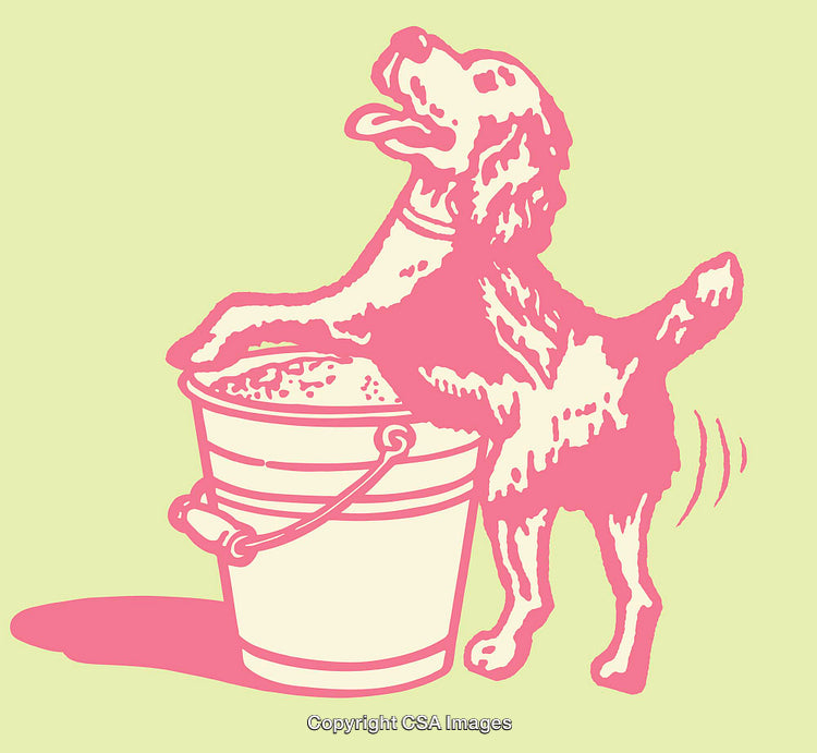 Pink Dog Illustration Washing Bucket in Playful Line Art Style