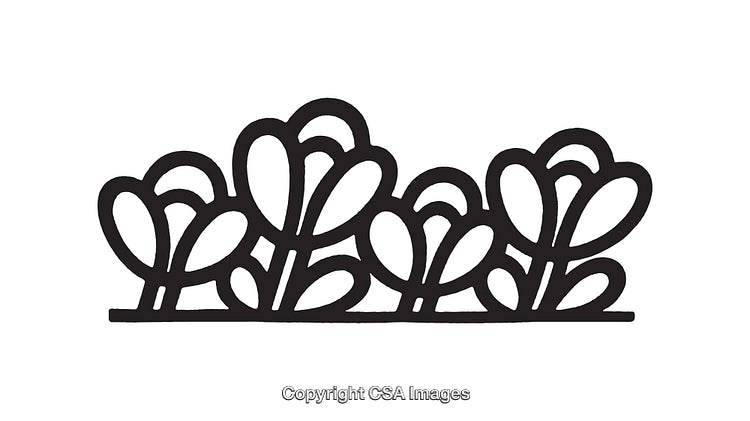 Black and White Line Art Floral Design for Artistic Applications