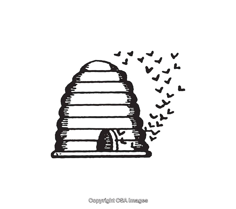 Detailed Black and White Illustration of a Beehive with Flying Bees
