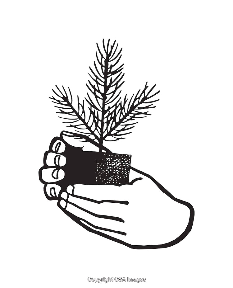 Black and White Illustration of Hands Holding a Seedling Drawing