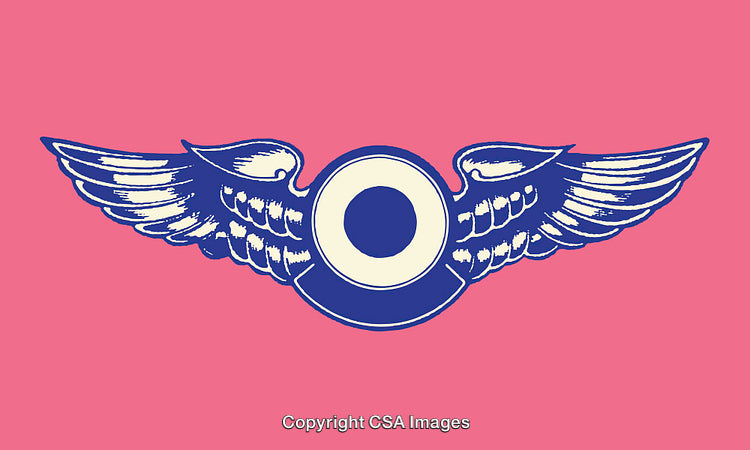 Colorful Winged Circle Icon on a Bold Pink Background